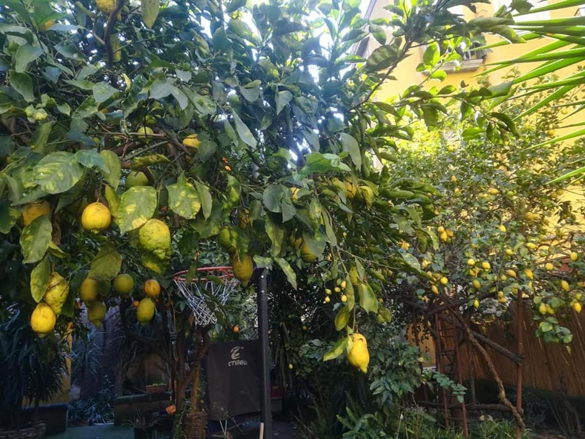 Appartement La Limonaia Di Chiaia Naples