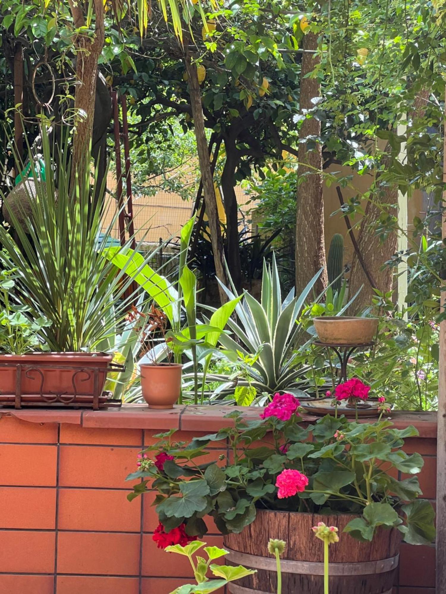 Appartamento La Limonaia Di Chiaia Napoli