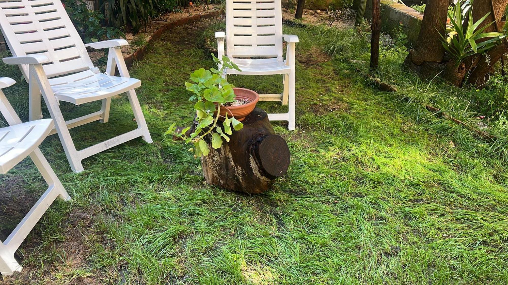 La Limonaia Di Chiaia *